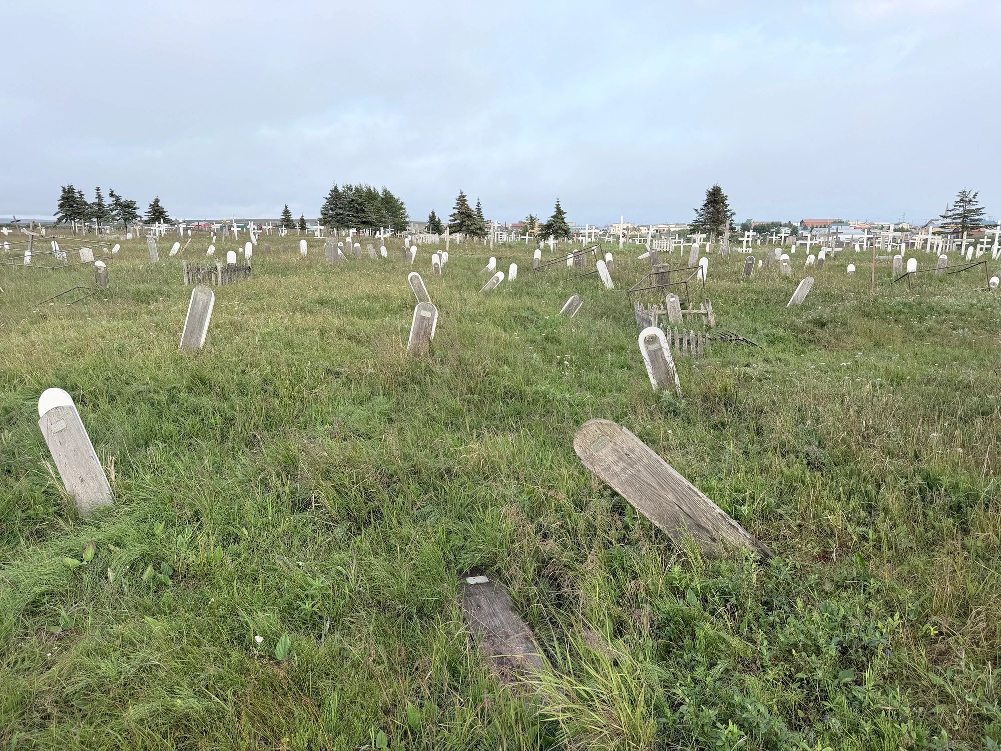 Historic cemetery headstones in a peaceful outdoor setting
